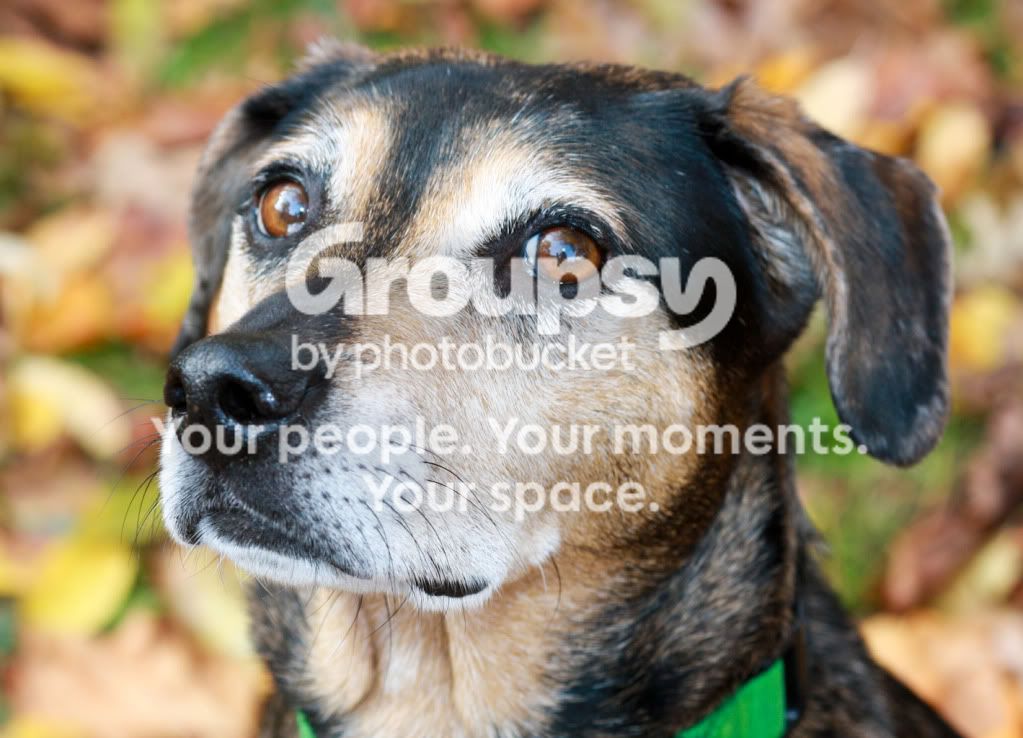 051-1.jpg
