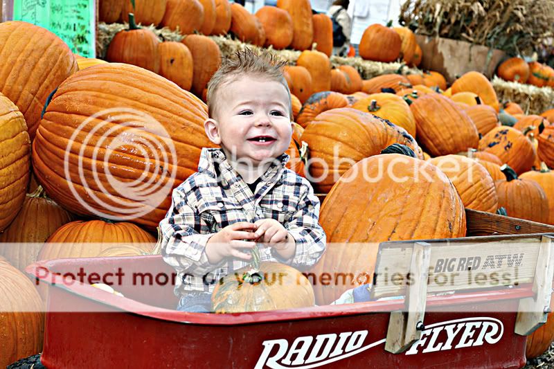 IMG_2888a2web.jpg