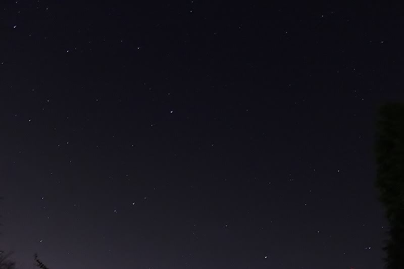 Cloningattempt1-1.jpg