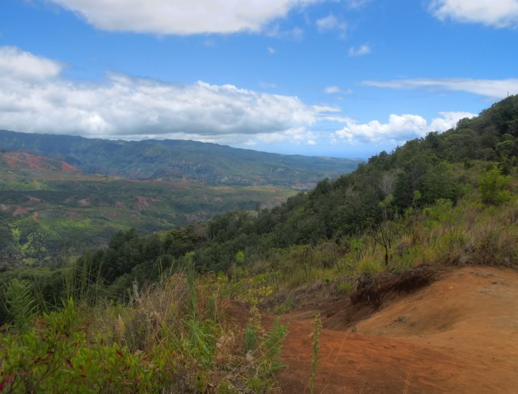 CanyonTrail.jpg