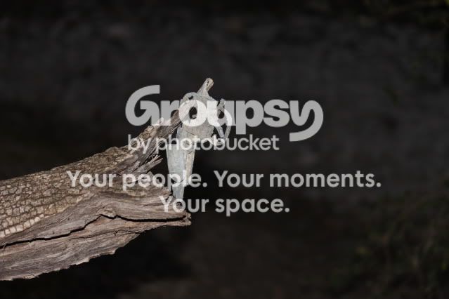 dSLR121709073.jpg
