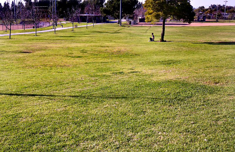 _1020921.jpg