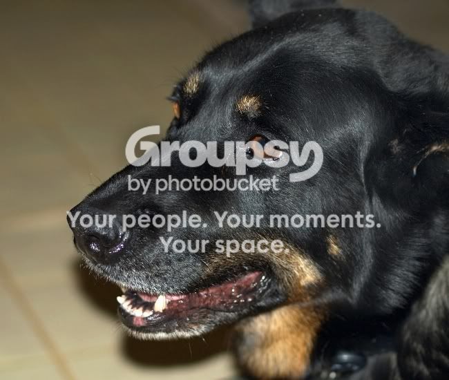 MaxsmileN510flash_edited.jpg