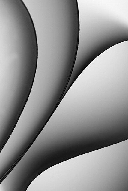 6412223077_1f8981eb80_z.jpg