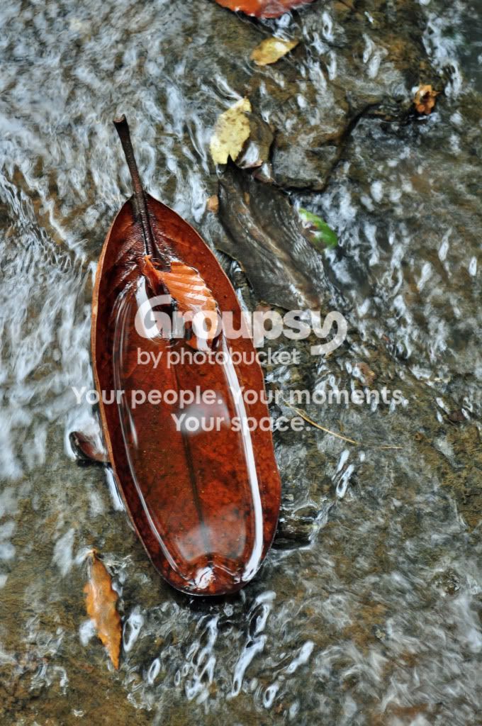 DSC_2072.jpg