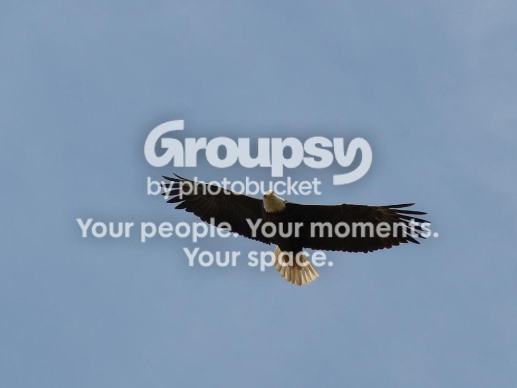 eaglenest066.jpg