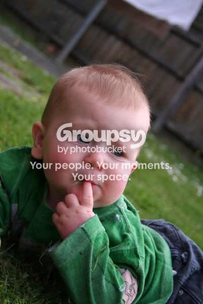 green007.jpg
