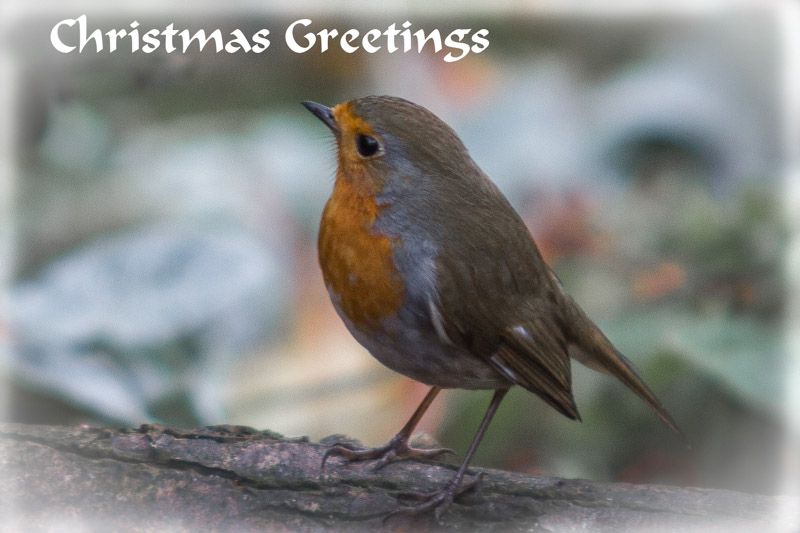 Greetings-1.jpg