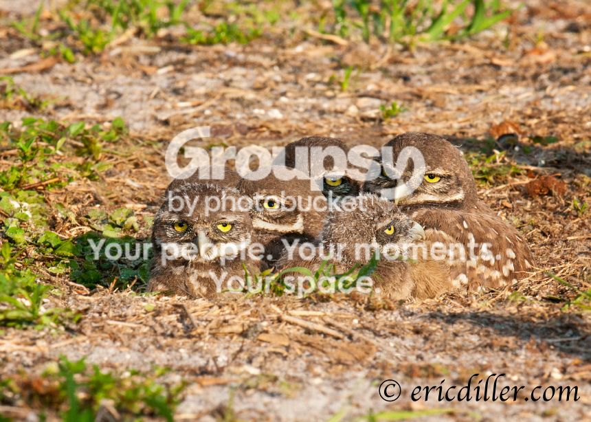_ECD6343-copy860.jpg