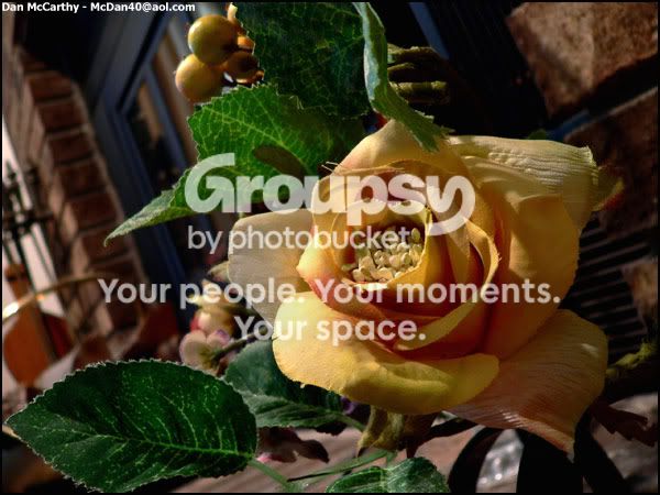 fakeflower.jpg