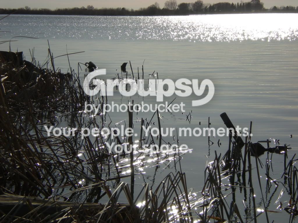 DSCN0765.jpg