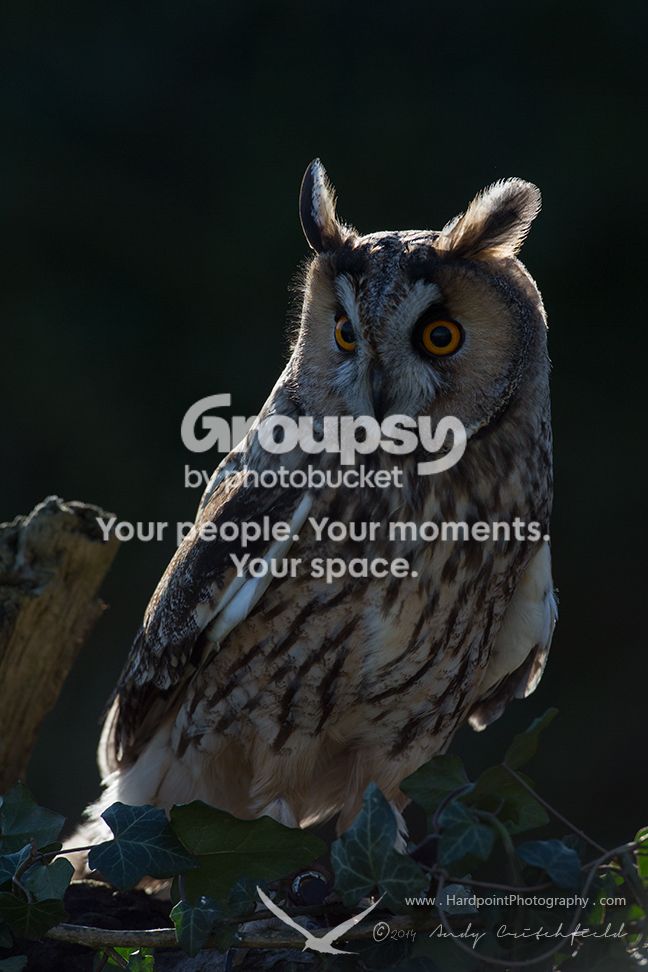 _HPP6886_zps18888ac5.jpg