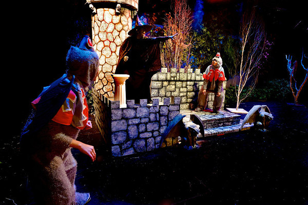 DSCF1695-M.jpg