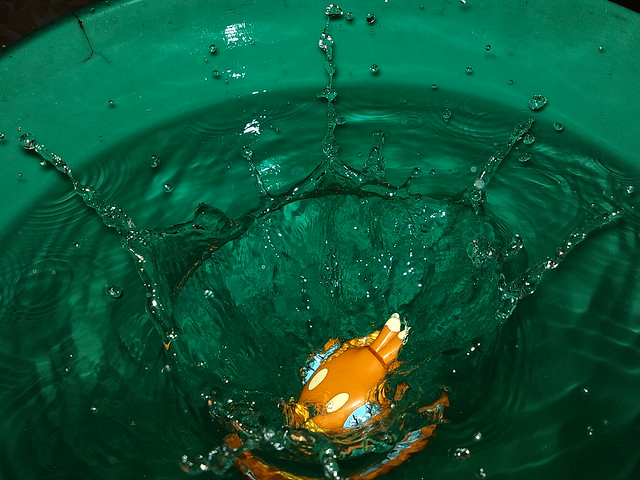 4827347724_4df5862f8c_z.jpg