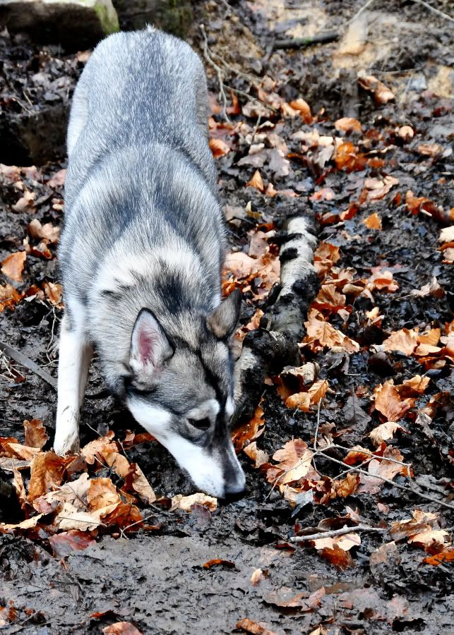 DSC_7607.jpg