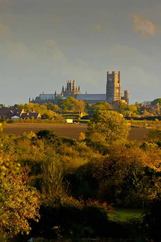 Ely-1.jpg