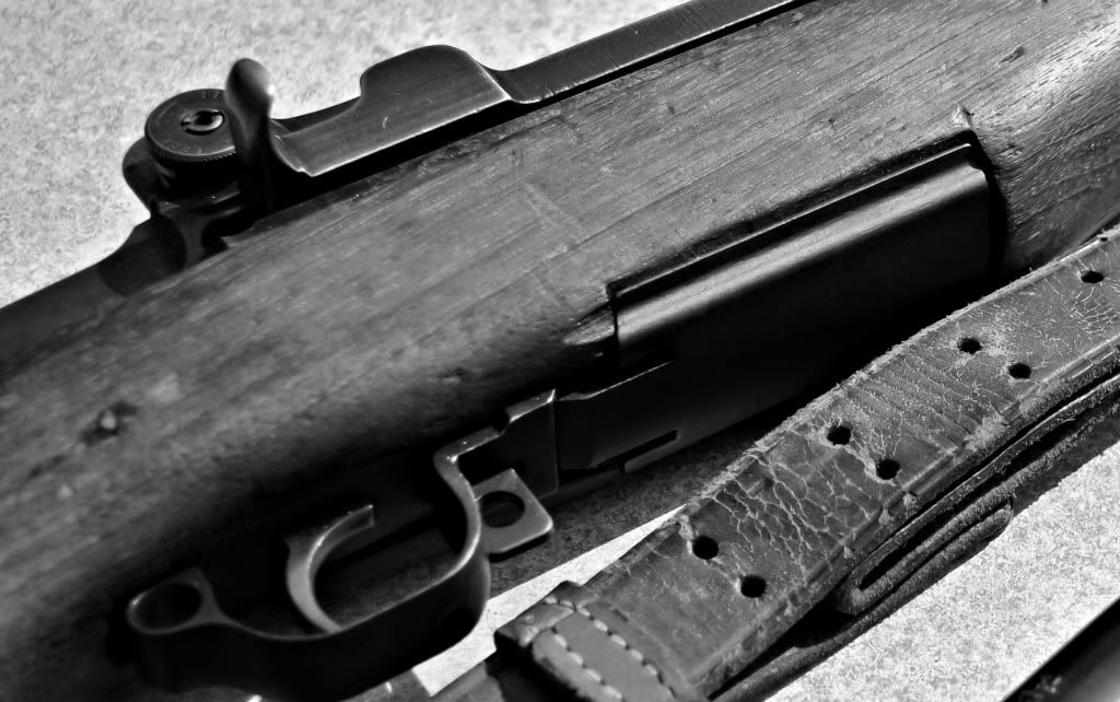 m1_strap.jpg
