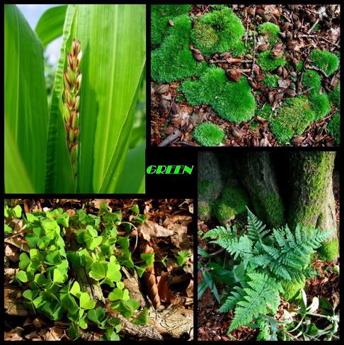 Green-collage.jpg