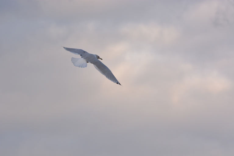 dsc_0123.jpg