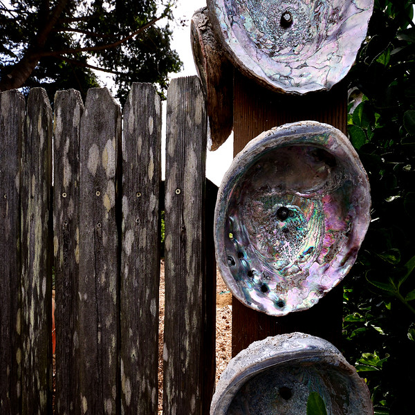 DSCF2690-L.jpg