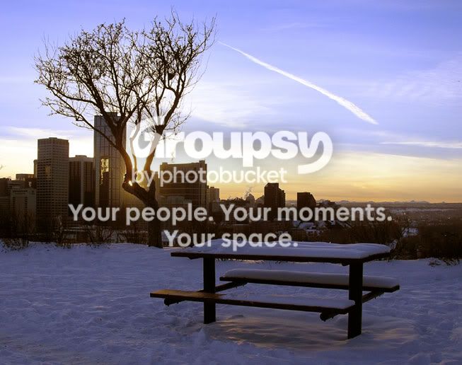 absoluteelsewhere-color.jpg