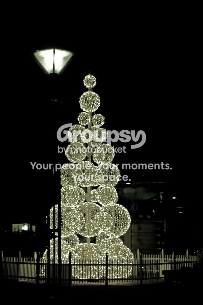 ChristmasPeaceGarden.jpg