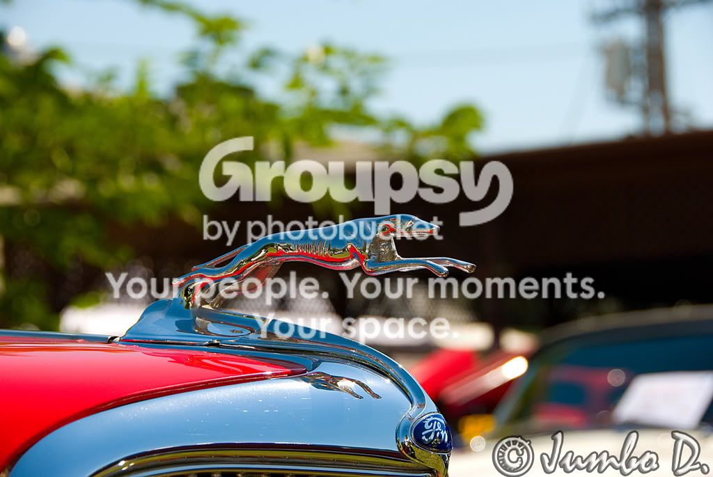 DSC_5769proccesedcopycopy.jpg