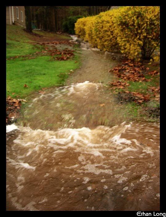 flood2.jpg