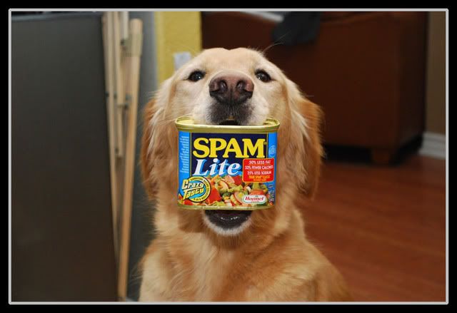 can.jpg