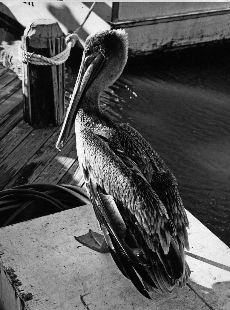 back_to_film_by_delosphotos-d4hmvkr.jpg