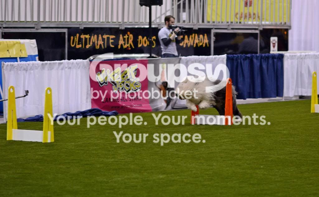 AE1_9827_zpsce55534d.jpg