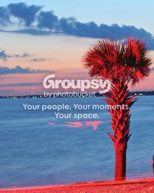 redpalm.jpg