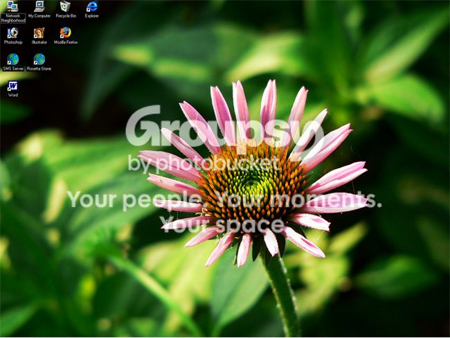 background.jpg