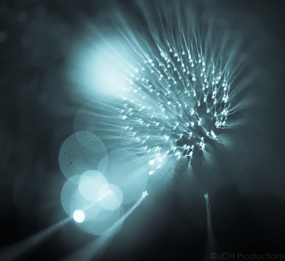 the_blue_bubble_by_mxjerrett-d560u47.jpg