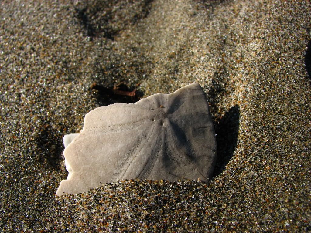 IMG_0720.jpg