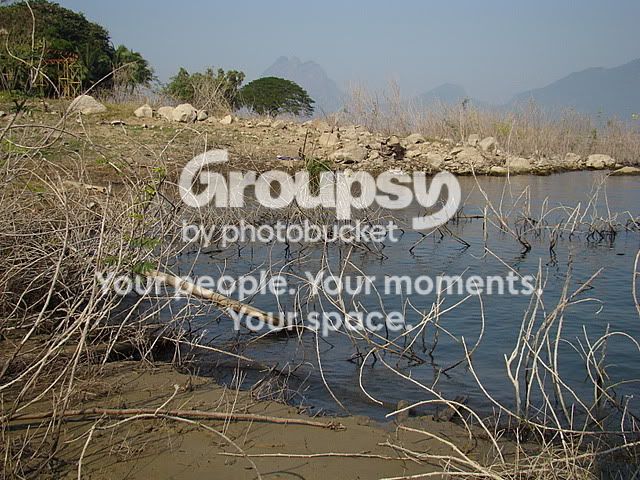 DSC06006.jpg