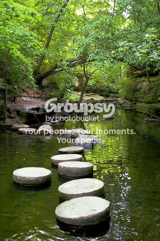 IMGP3278EDIT.jpg