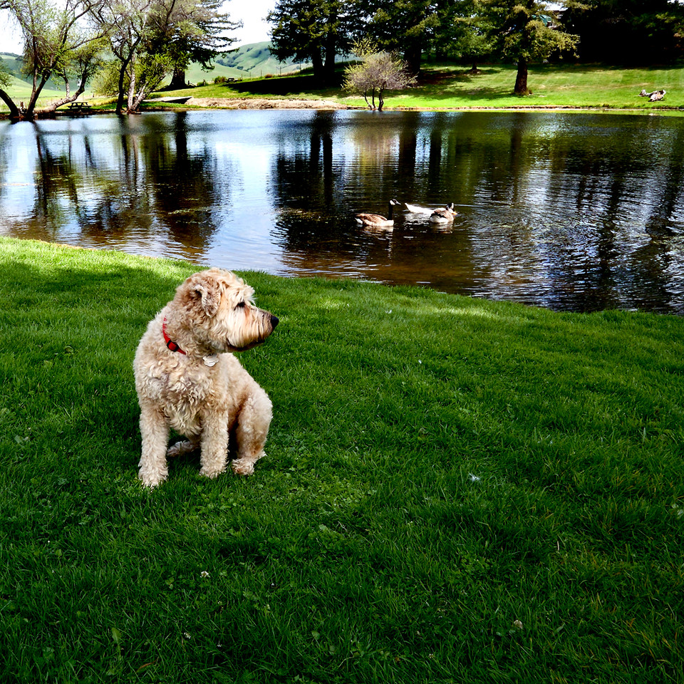 DSCF2636-X2.jpg