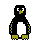 animal0078.gif
