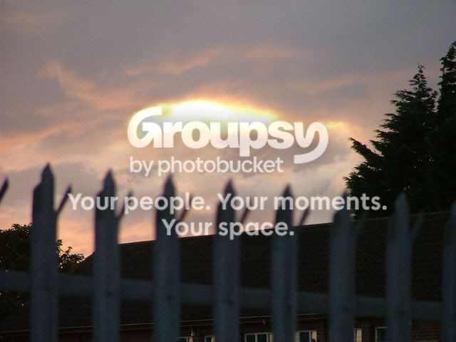 DSCF0533.jpg