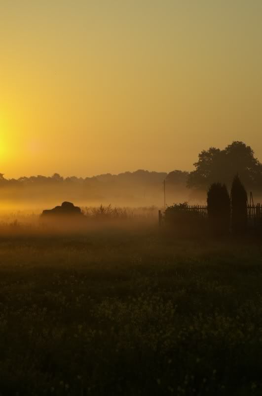 PICT2899.jpg