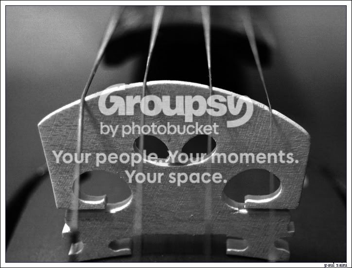 DSC_0744.jpg