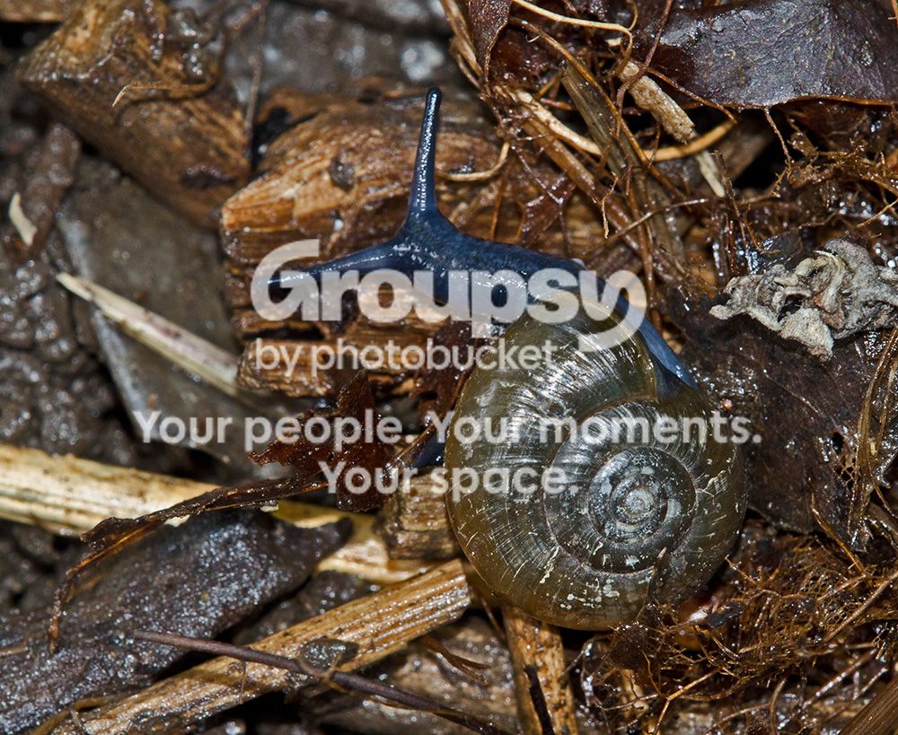 013copy.jpg
