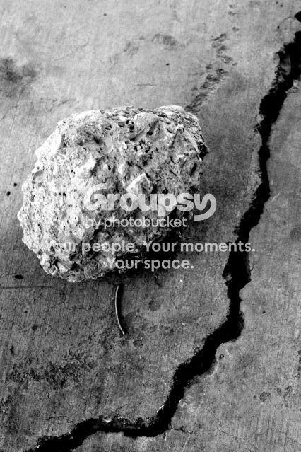 may12094copy.jpg
