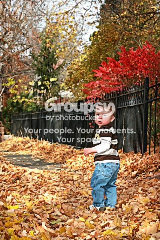 IMG_8878bweb.jpg