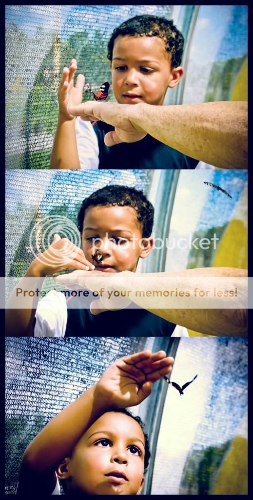 bflyboy.jpg