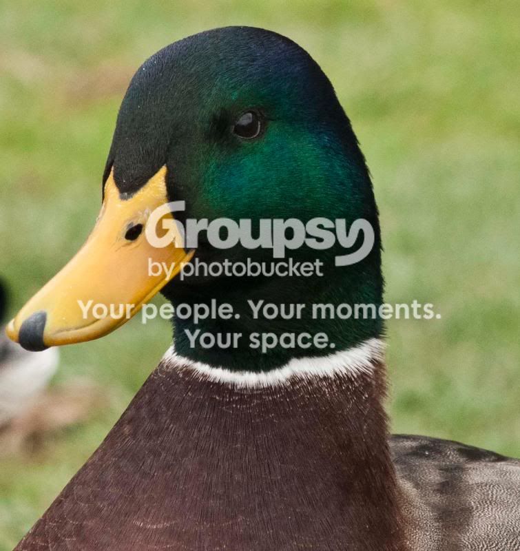 DSC_6835.jpg
