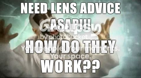 how-do-they-work.jpg