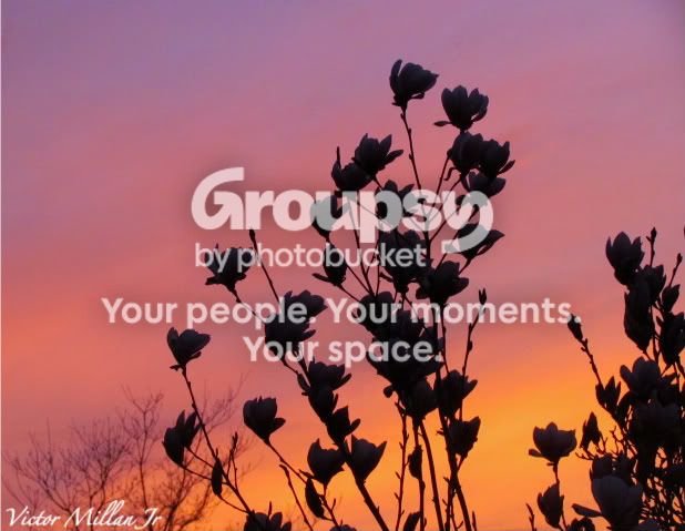Picture420-1-1.jpg