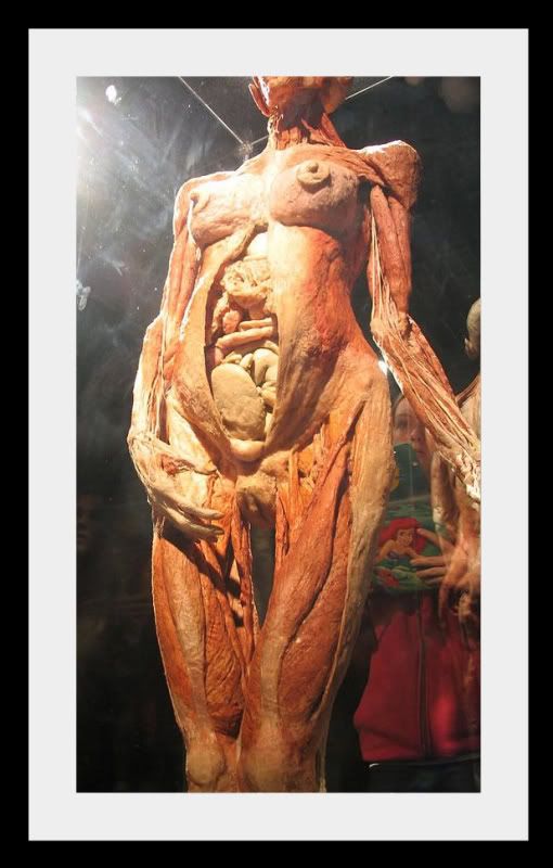 bodyworlds081.jpg